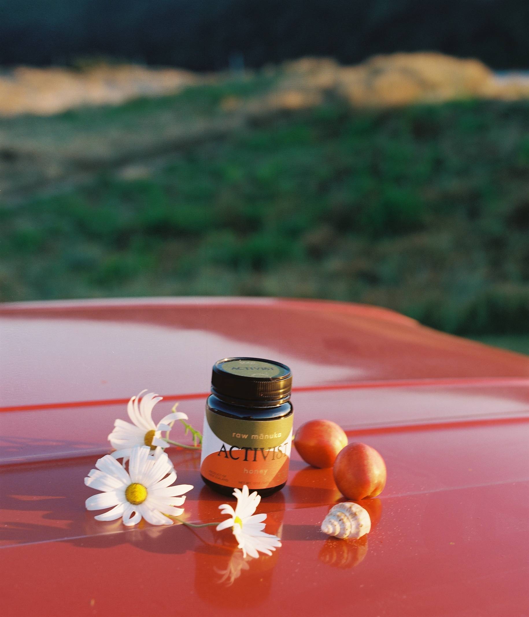 Transition your Immune System from Summer to Autumn