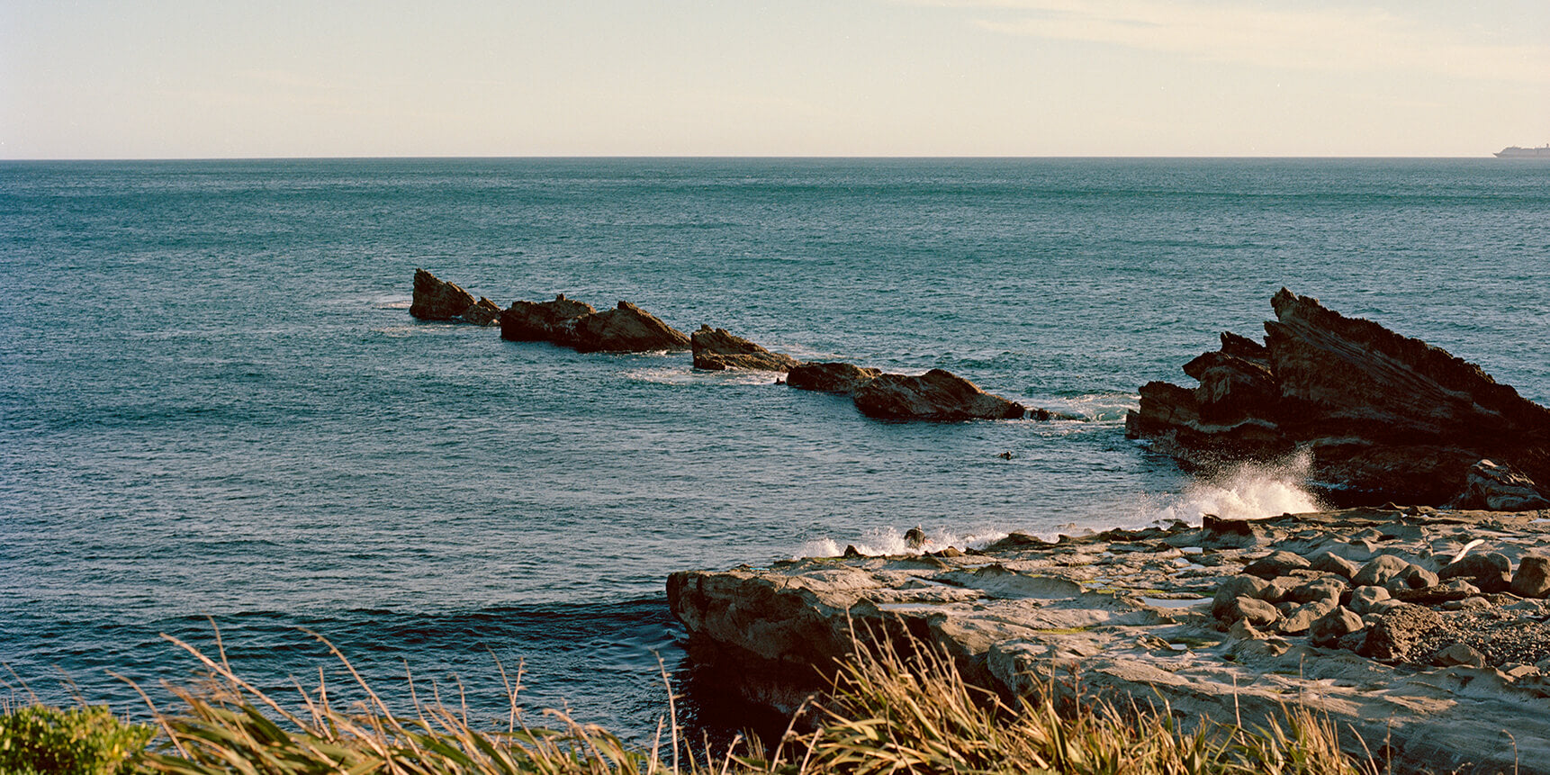 Activist Manuka Seascape - Sustainability