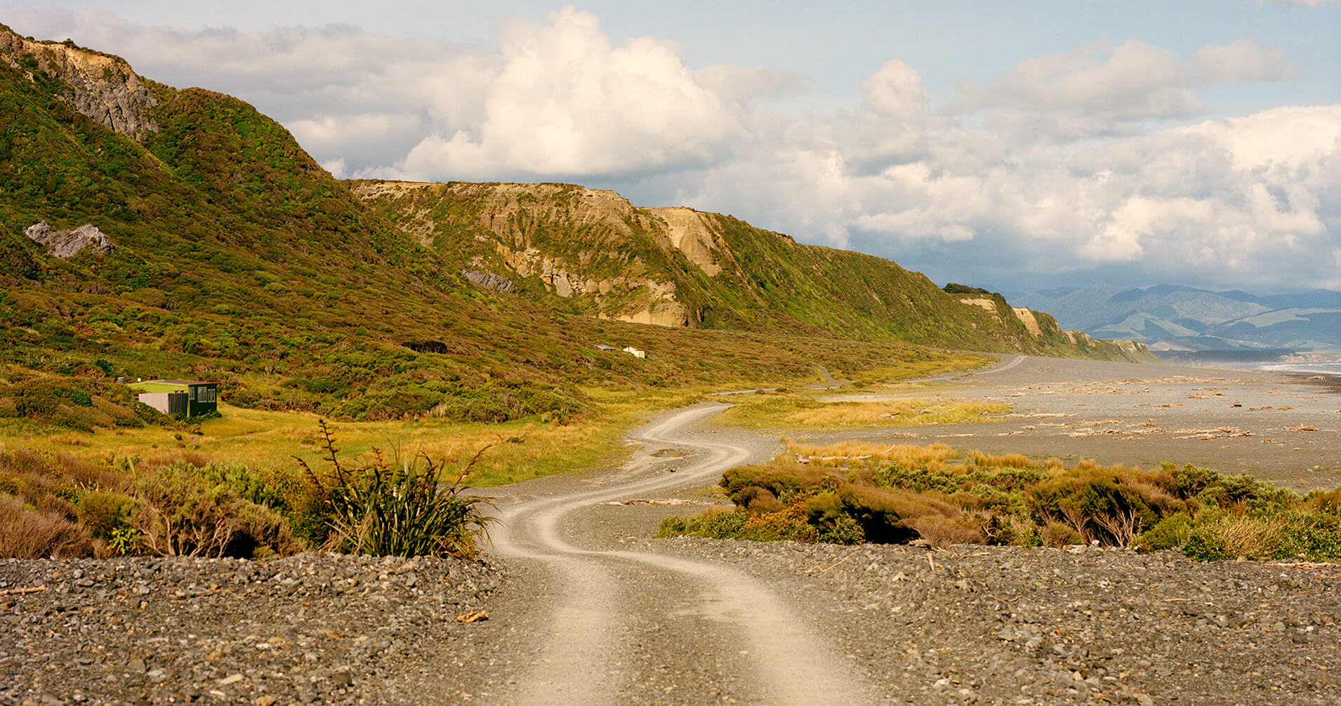 Activist Manuka Landscape