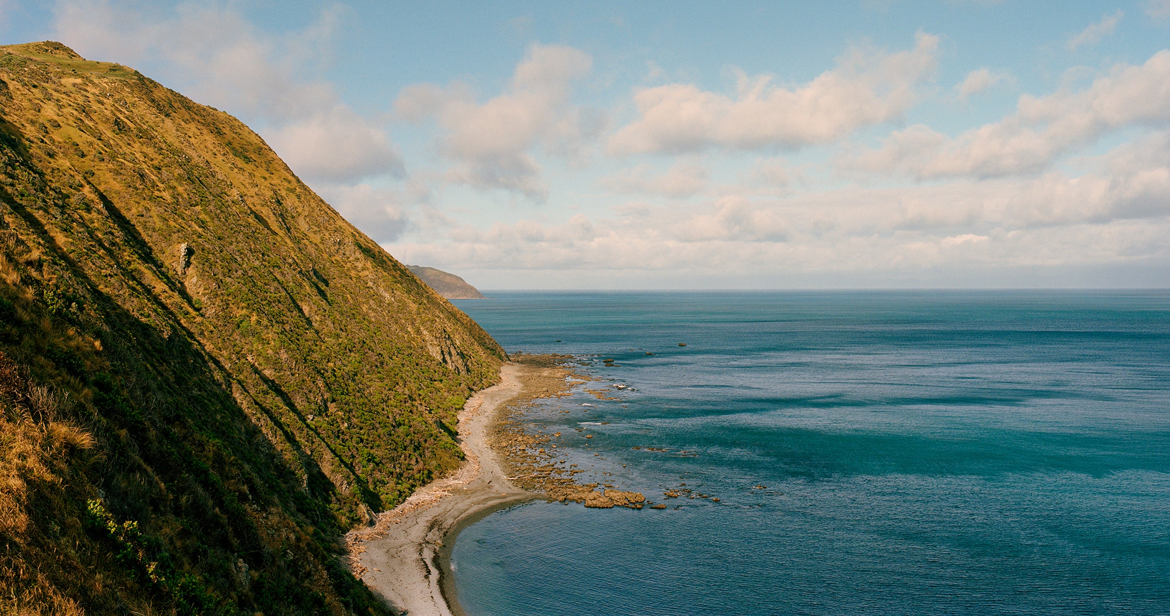 Activist Manuka Ocean scape New Zealand