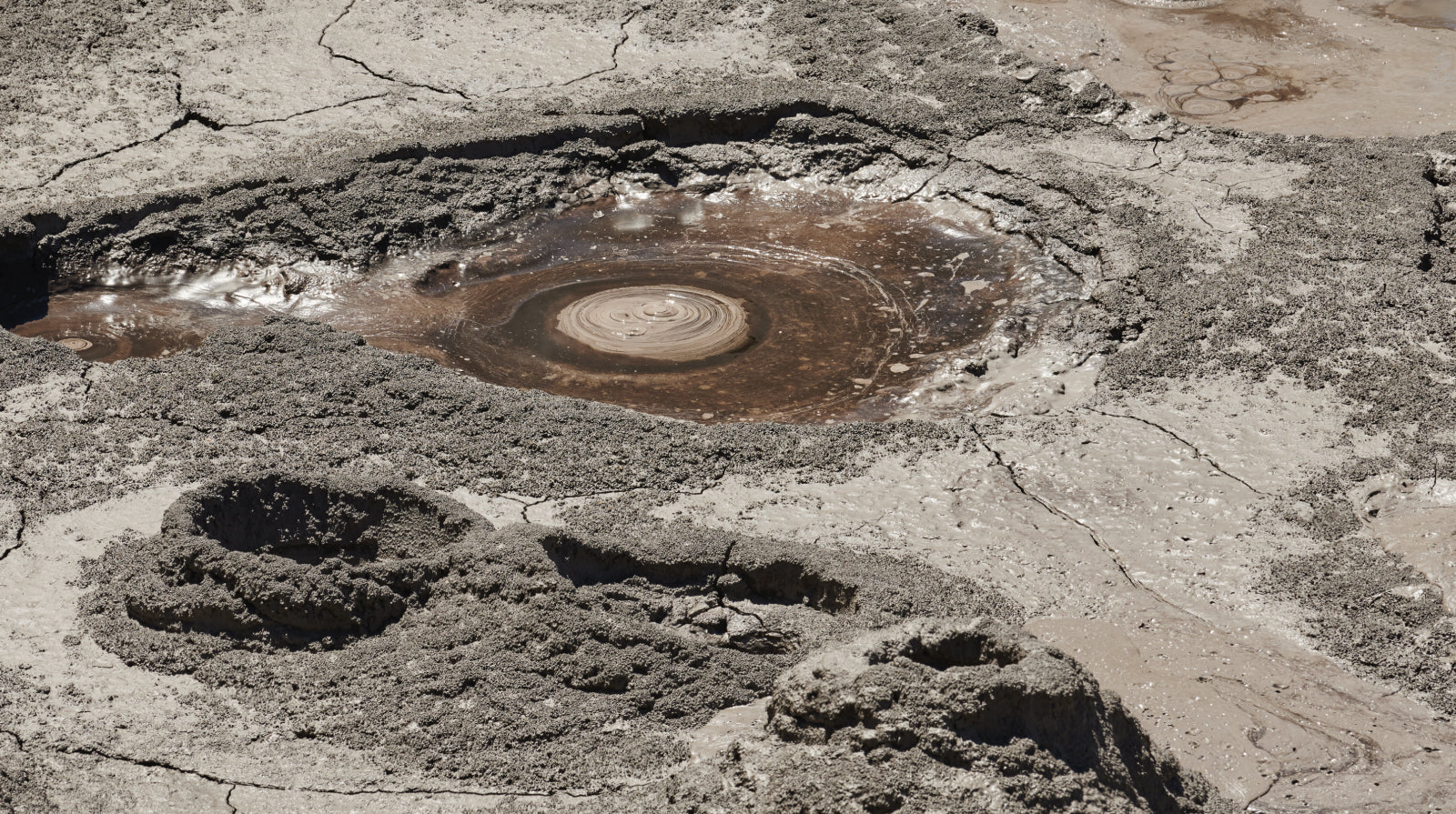 Activist Manuka Volcanic clay