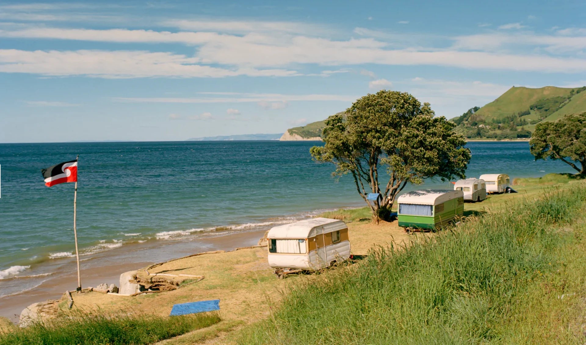 Activist Manuka Seascape New Zealand