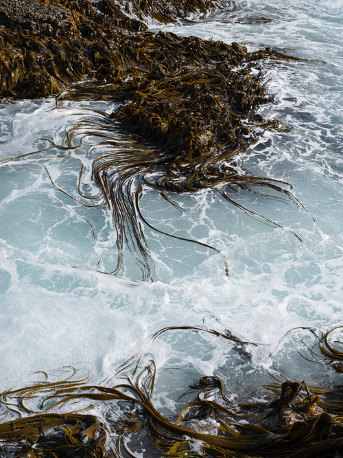 Skin Health For The Ocean Lover