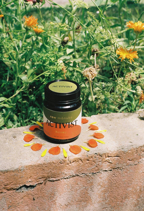 Transitioning your Immune System from Spring to Summer